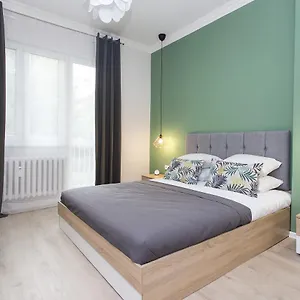 The Cozy Apartment, Apartment